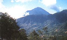 Tacana (Volcano) (7928 bytes)