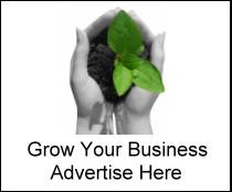 Grow your business